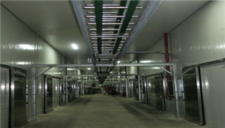 （寧夏）科技局給予本司技術(shù)人員王小軍、屈安民有機杏鮑菇高產(chǎn)技術(shù)創(chuàng)新表彰會的通報