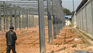 盛友友集團隆重亮相中國蘑菇節(jié)