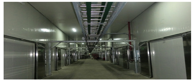 （寧夏）科技局給予本司技術人員王小軍、屈安民有機杏鮑菇高產技術創新表彰會的通報